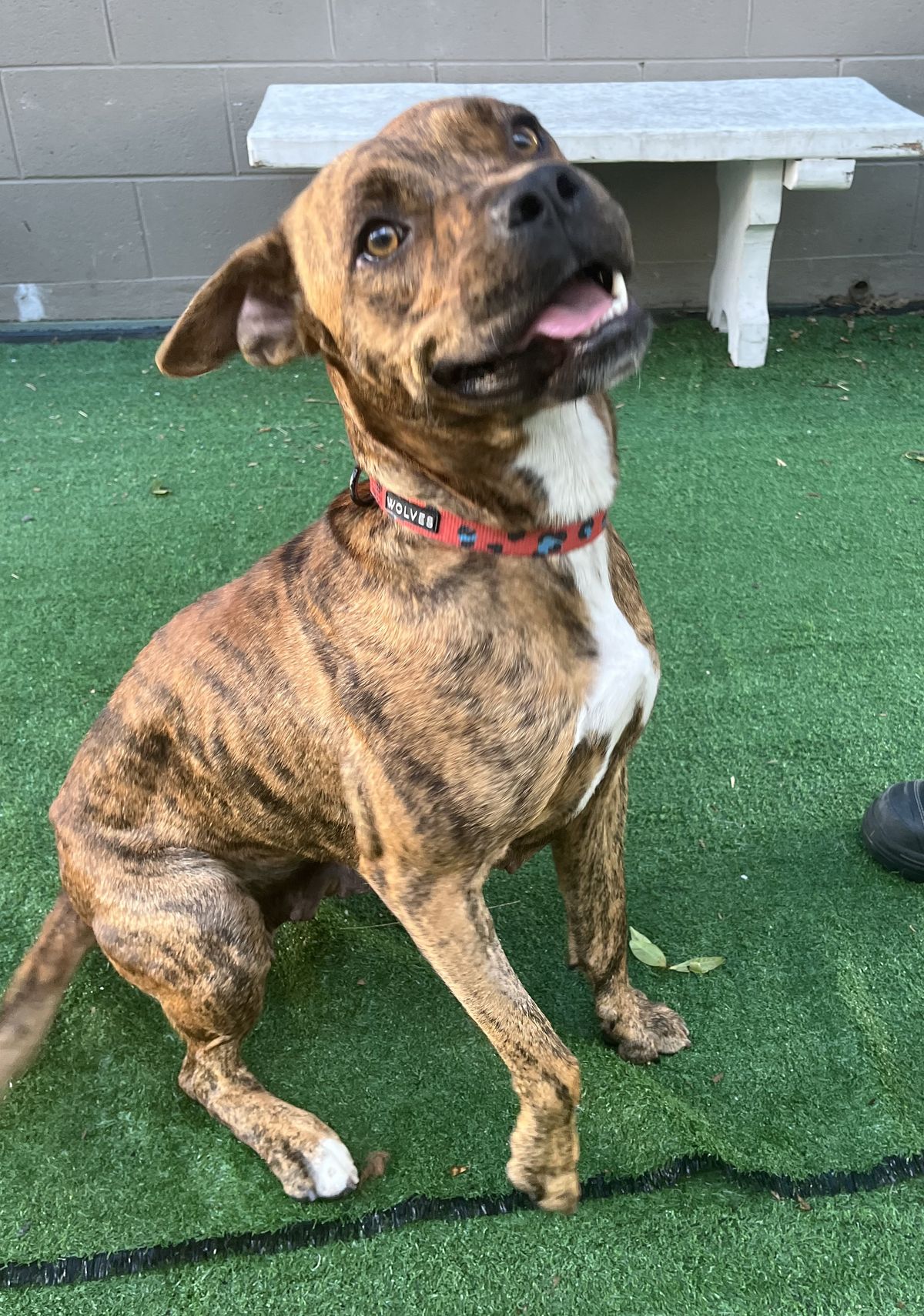 Gallery image: Honey