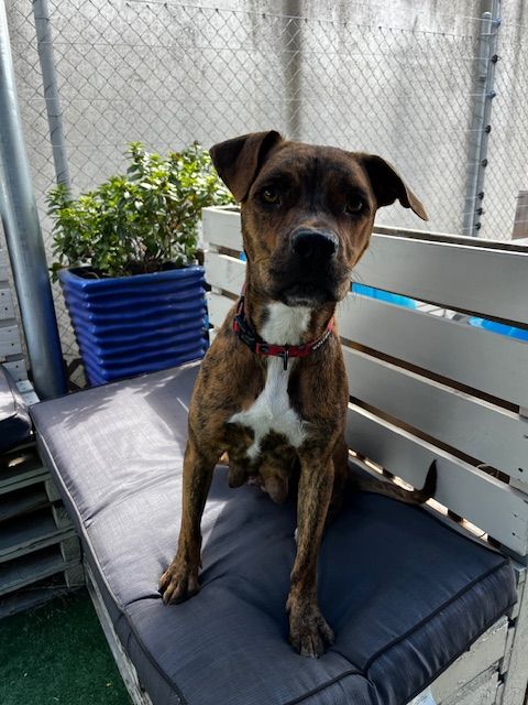 Gallery image: Honey