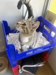 Gallery image: Sleepy