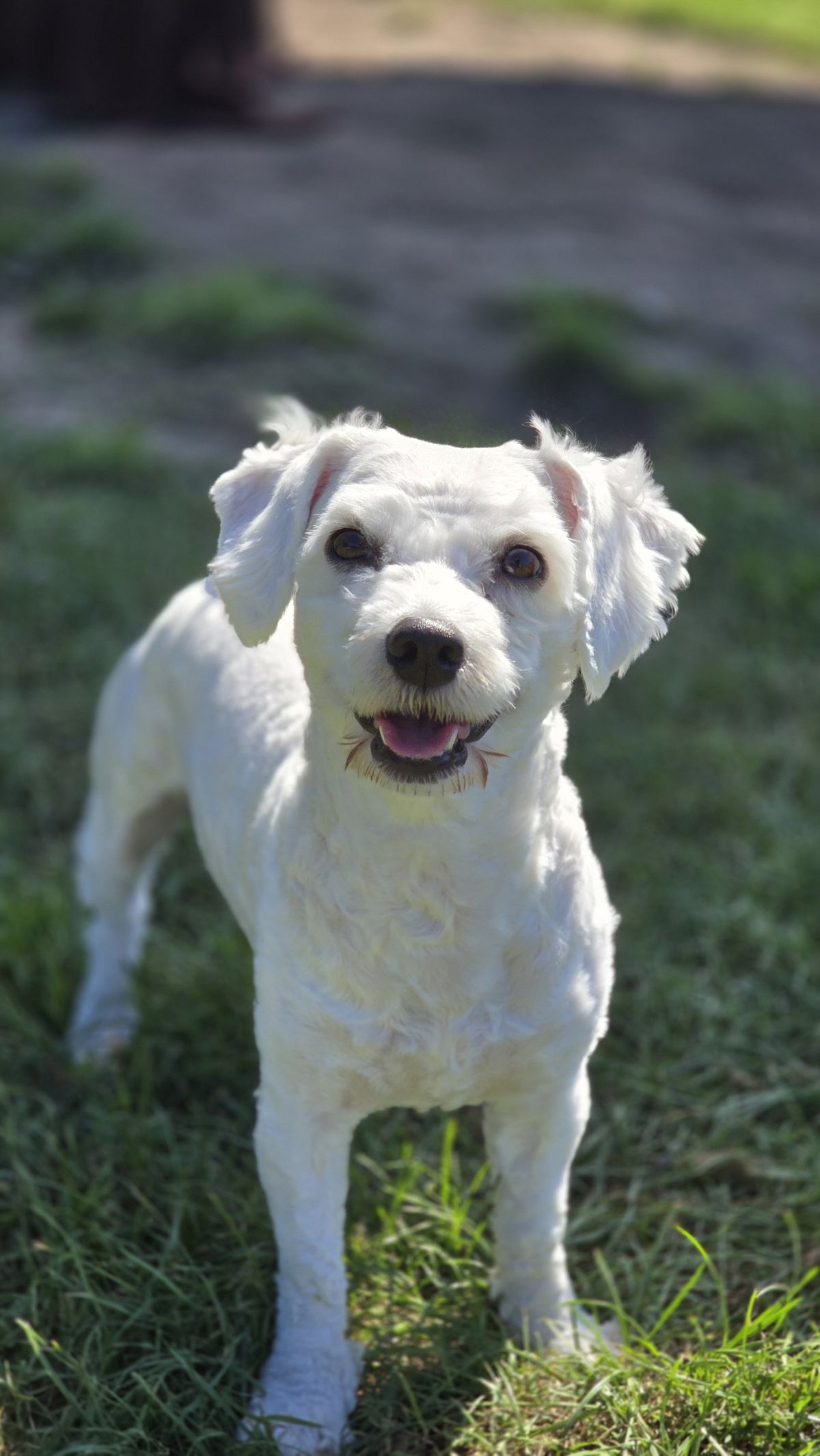 Gallery image: Jimmy