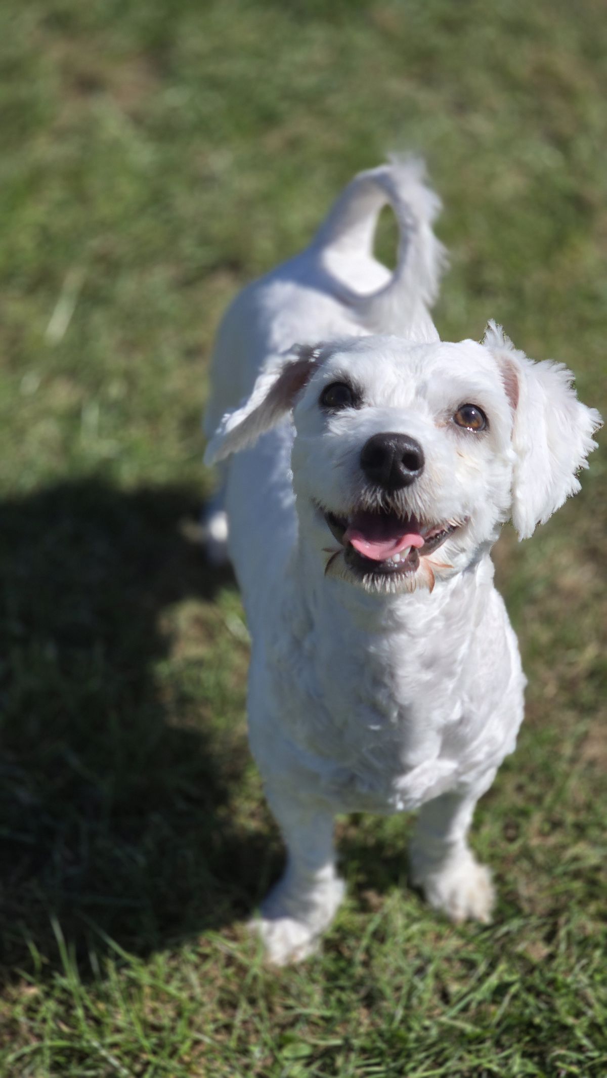 Gallery image: Jimmy