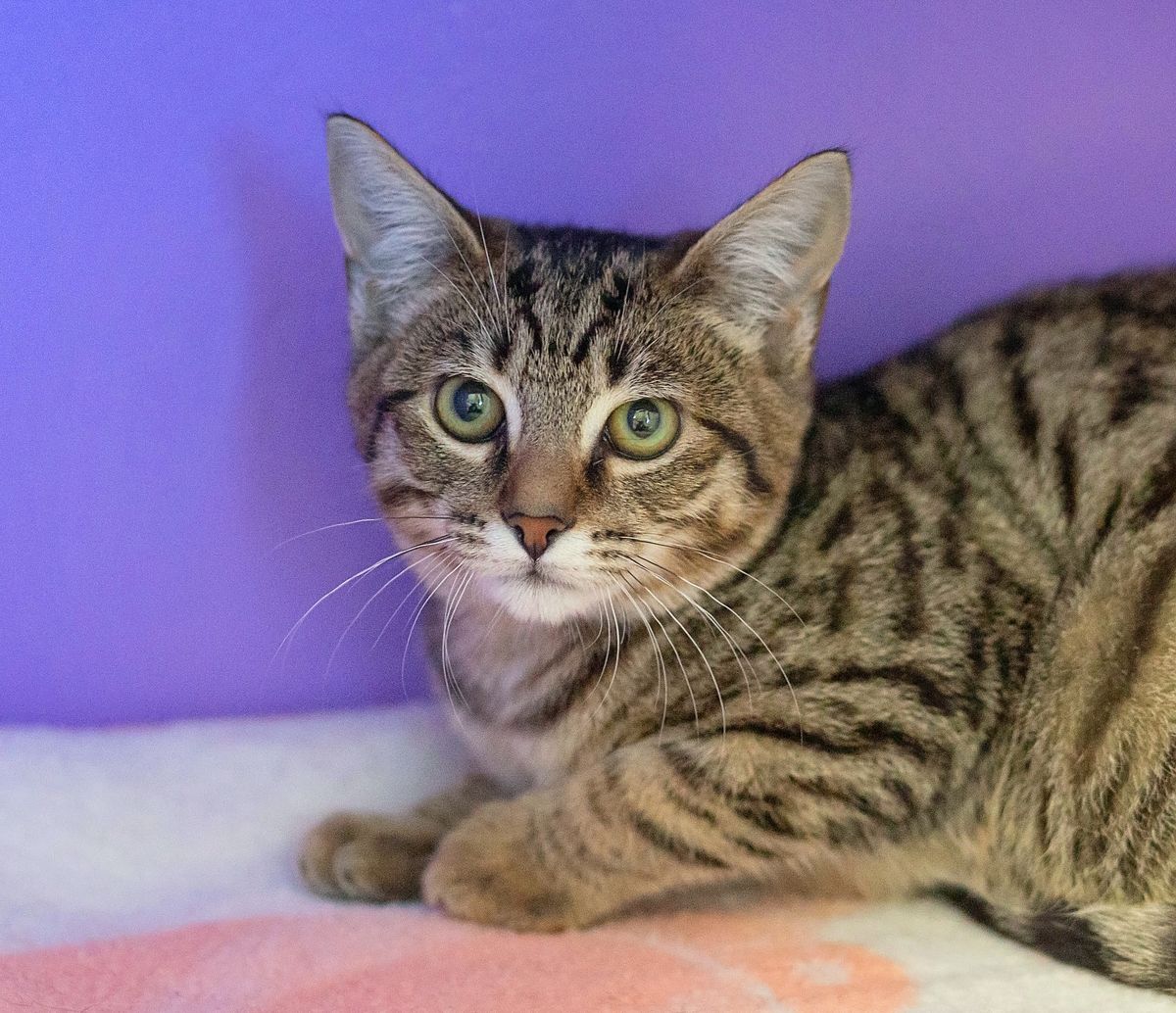 Gallery image: Scribble