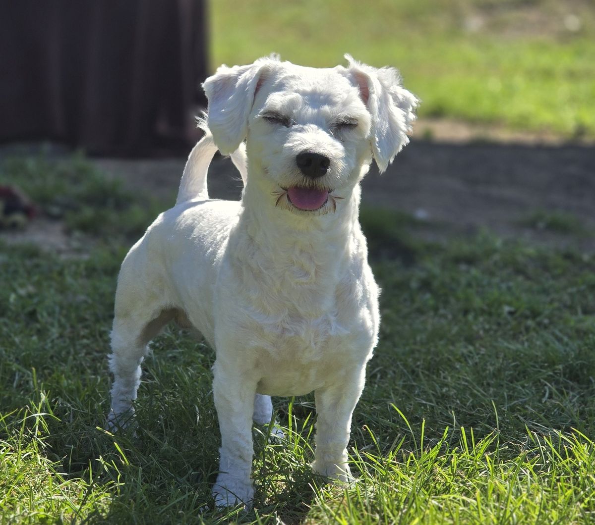 Gallery image: Jimmy