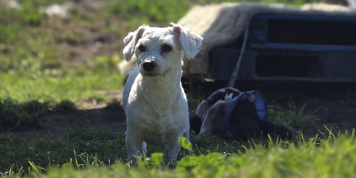 Gallery image: Jimmy