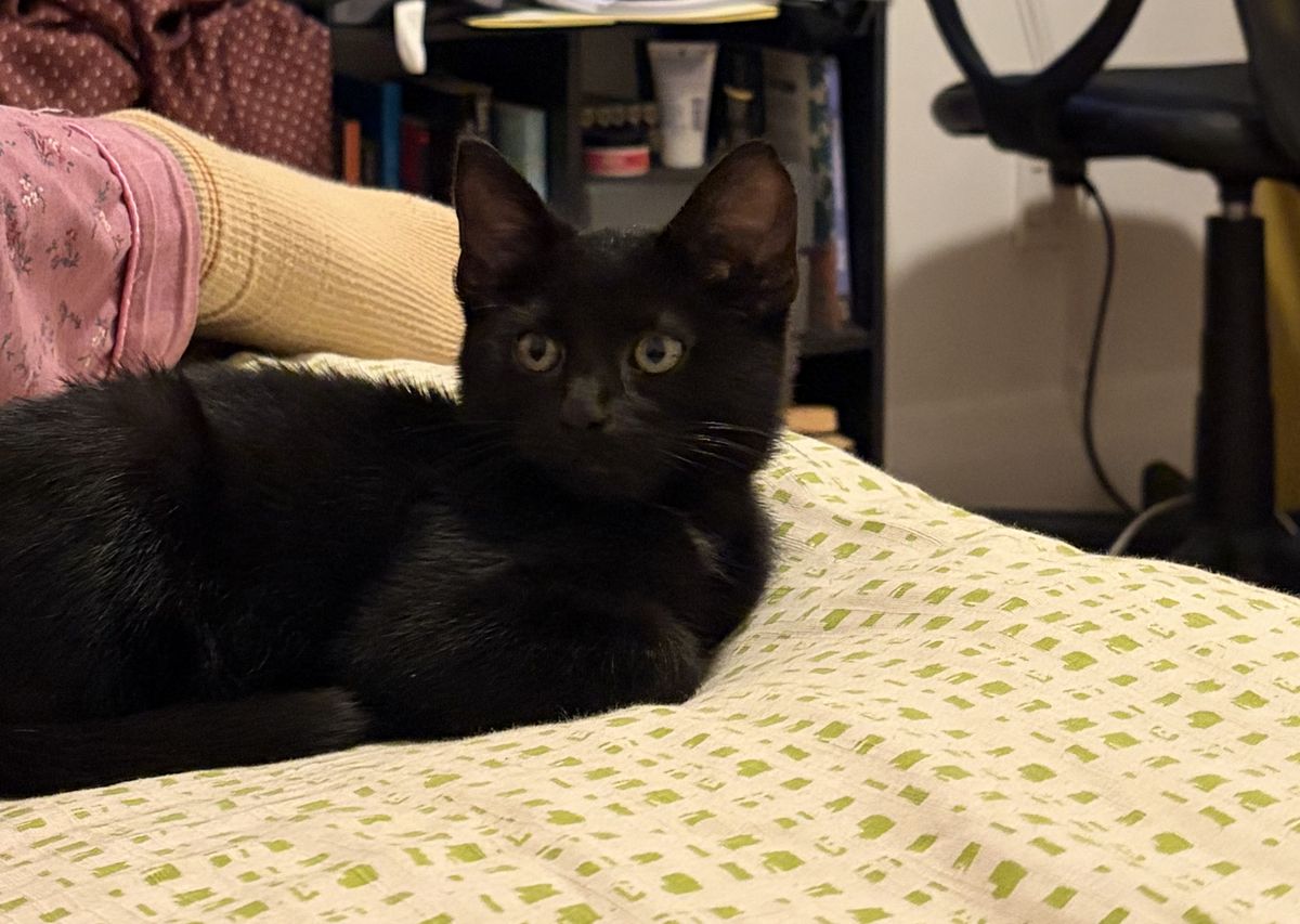 Gallery image: Affogato