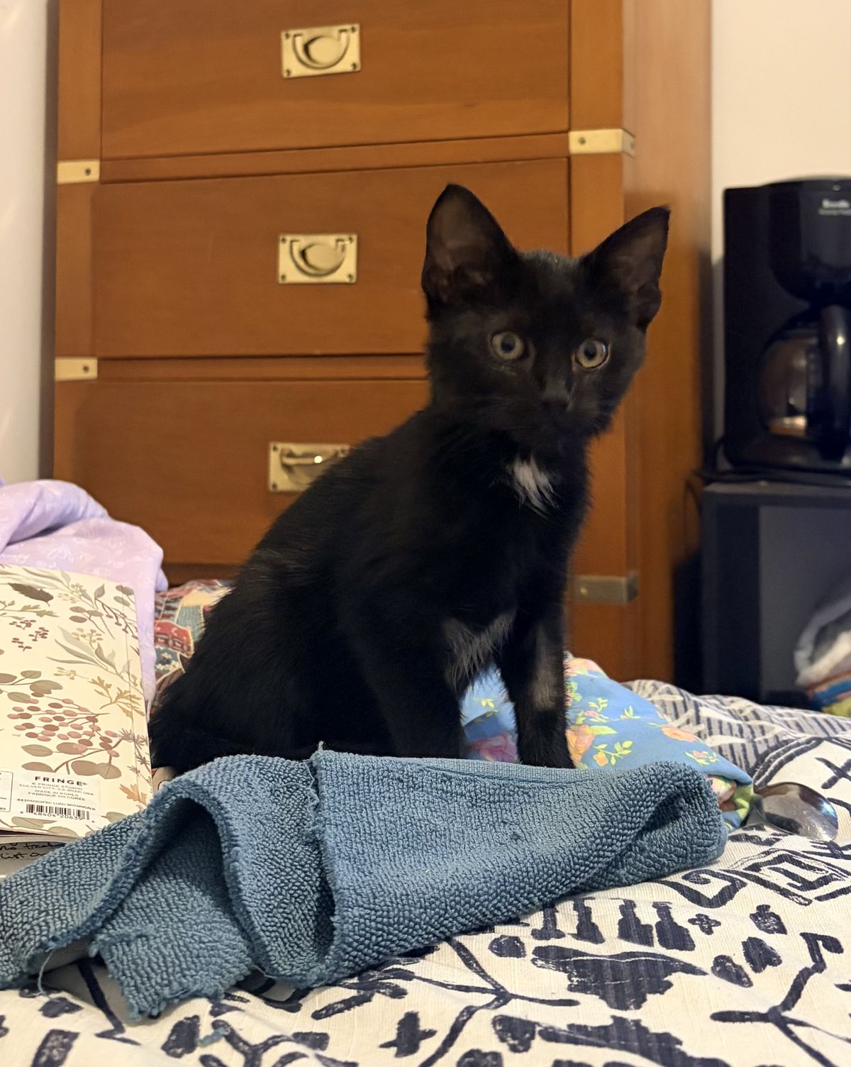 Gallery image: Affogato