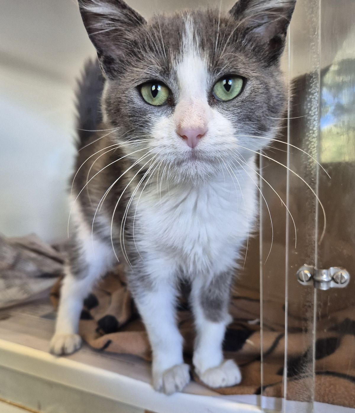 Gallery image: Mikey