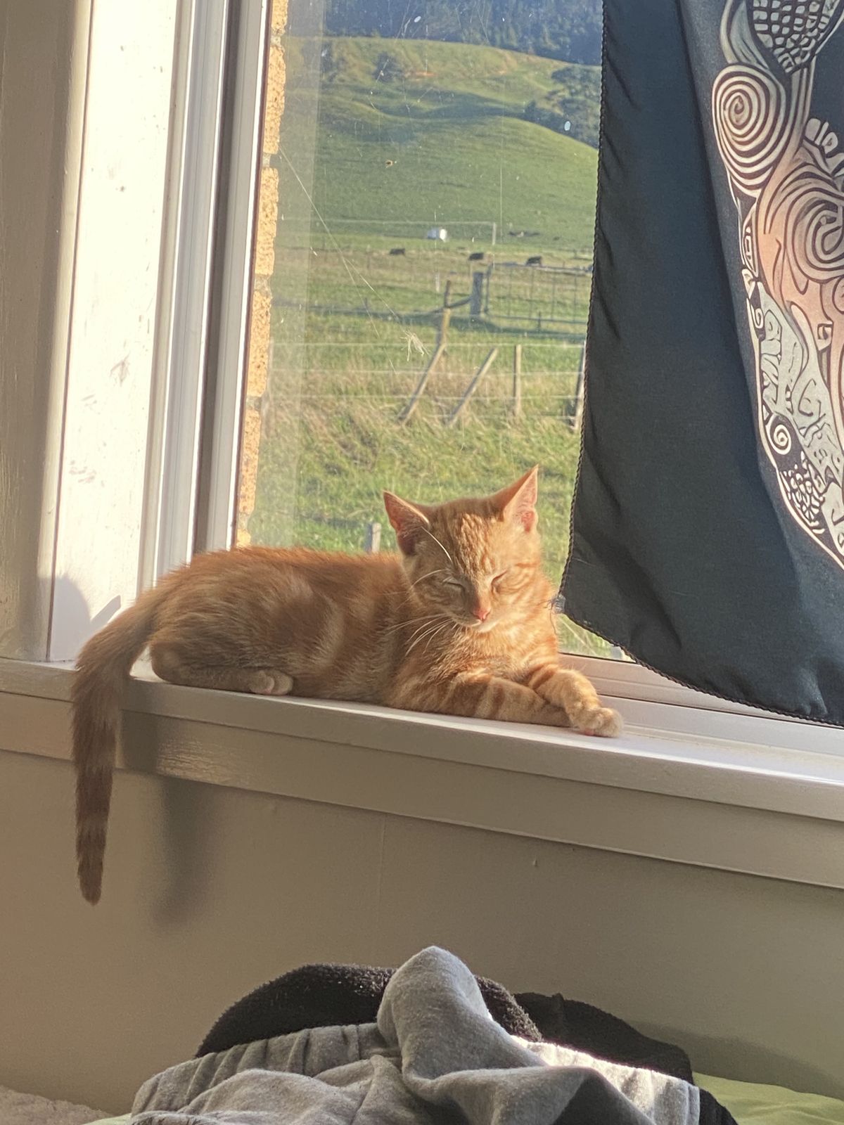 Gallery image: Riggsy