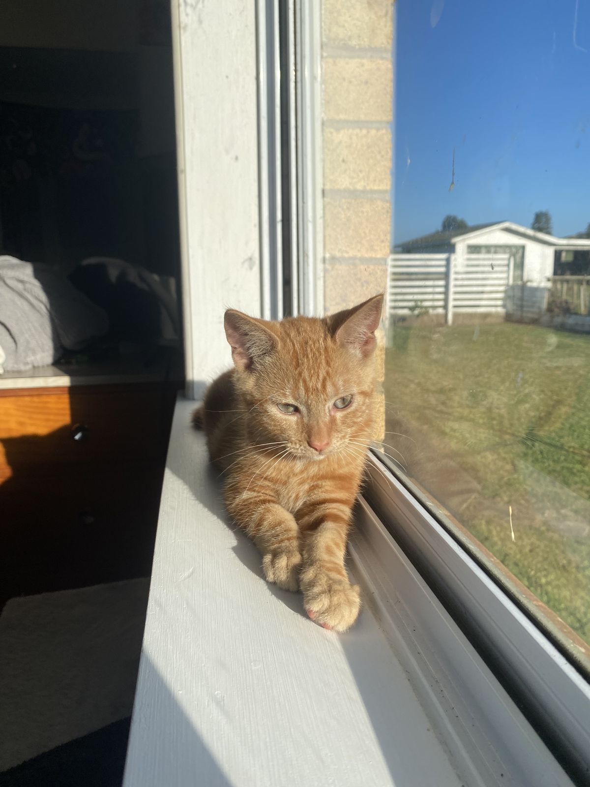 Gallery image: Riggsy