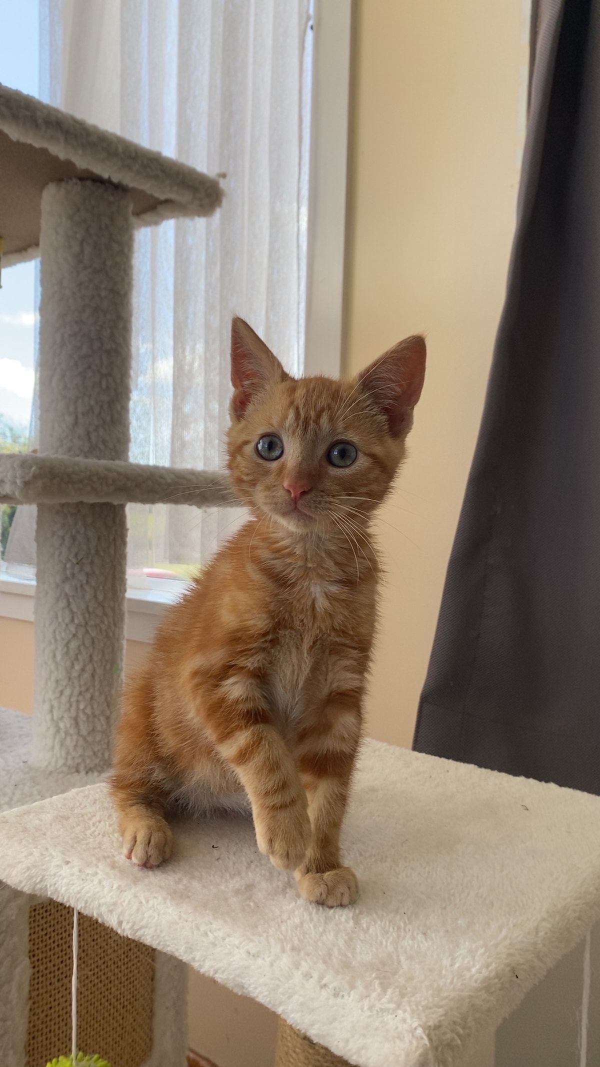 Gallery image: Riggsy