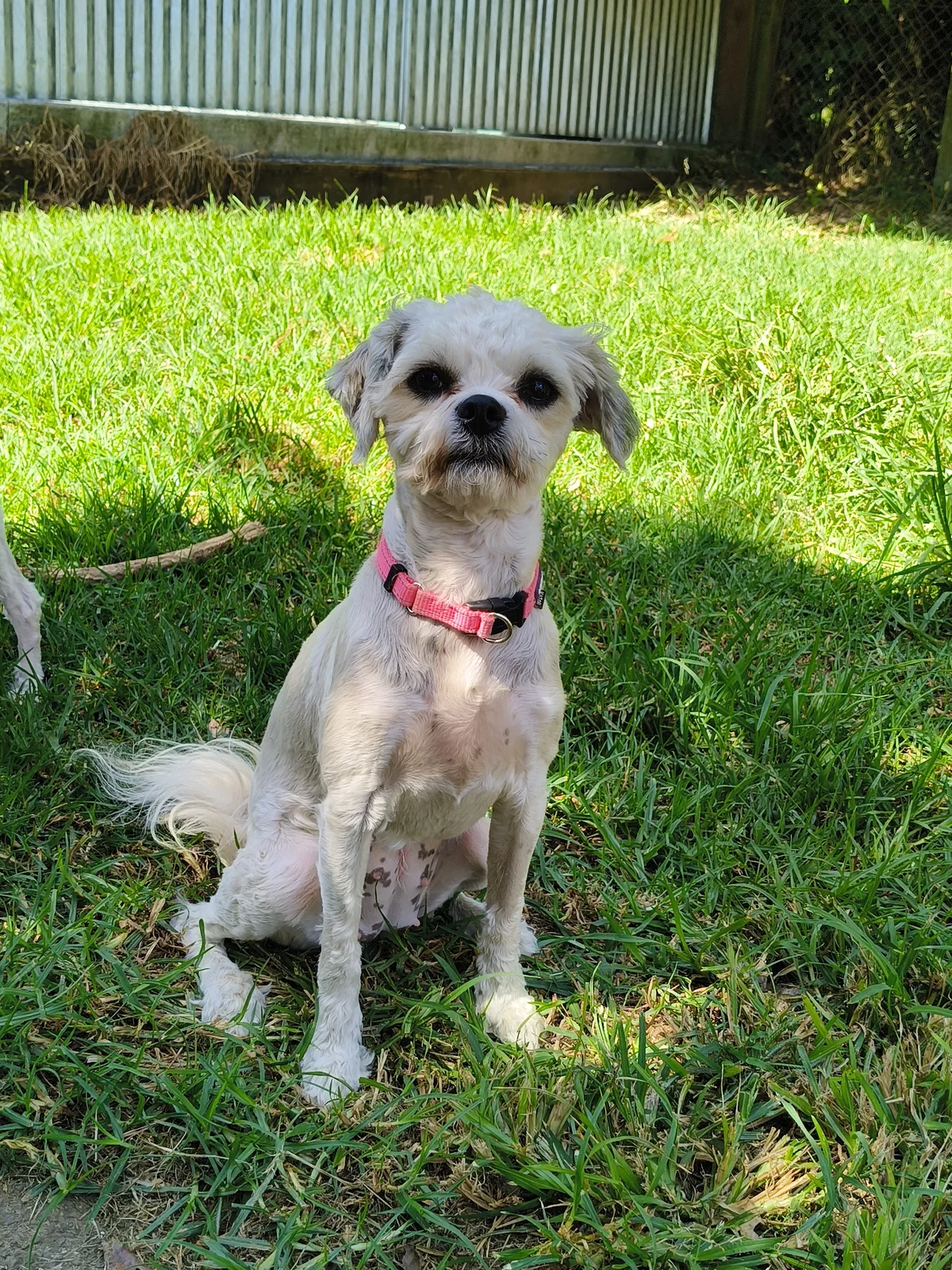 Gallery image: Masie