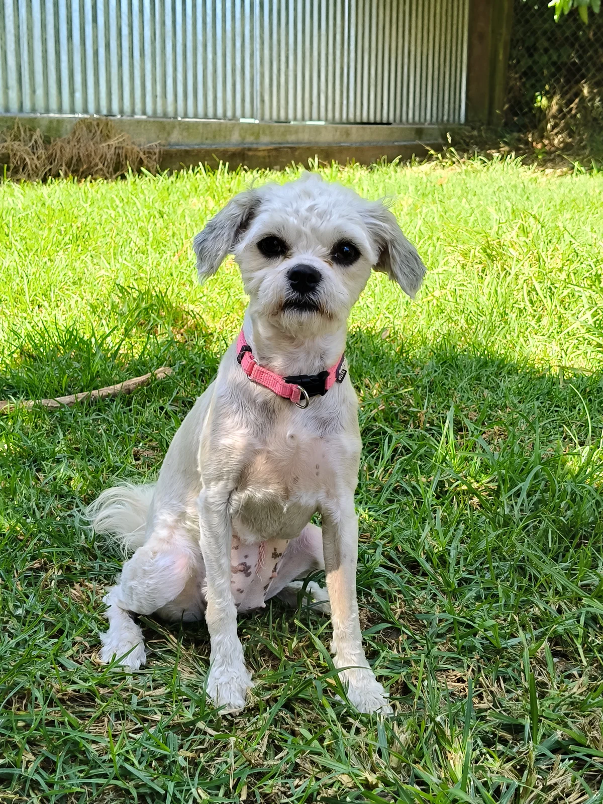 Gallery image: Masie