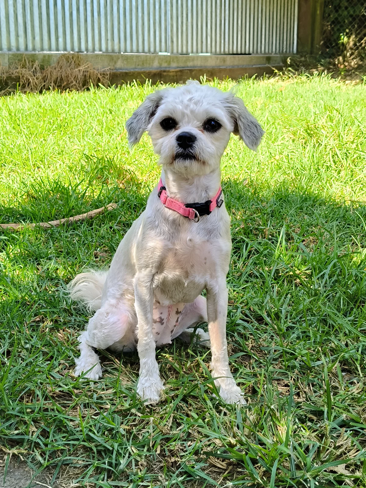 Gallery image: Masie