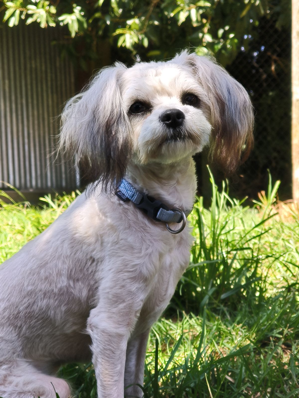 Gallery image: Fiyero