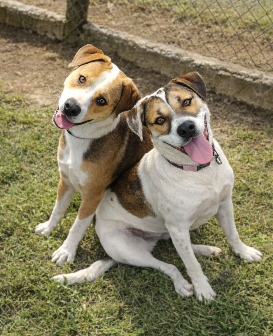 Gallery image: Murphy