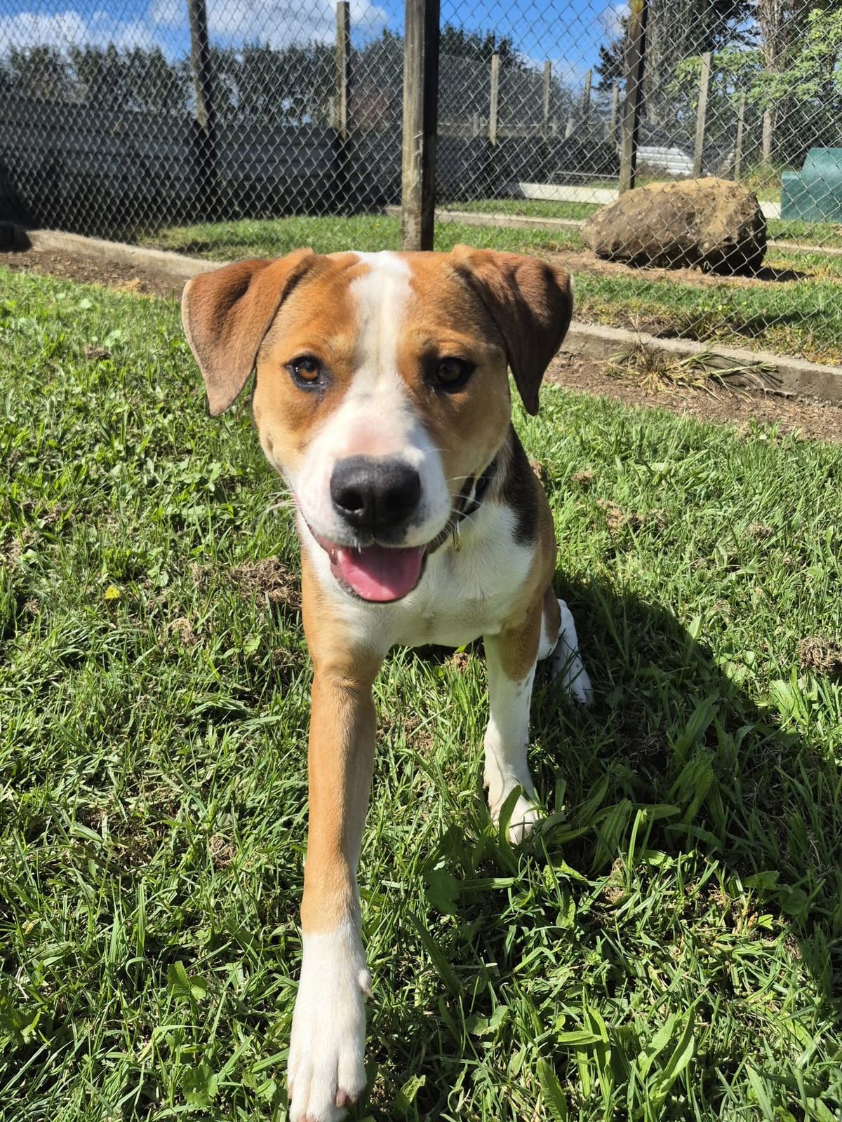 Gallery image: Murphy