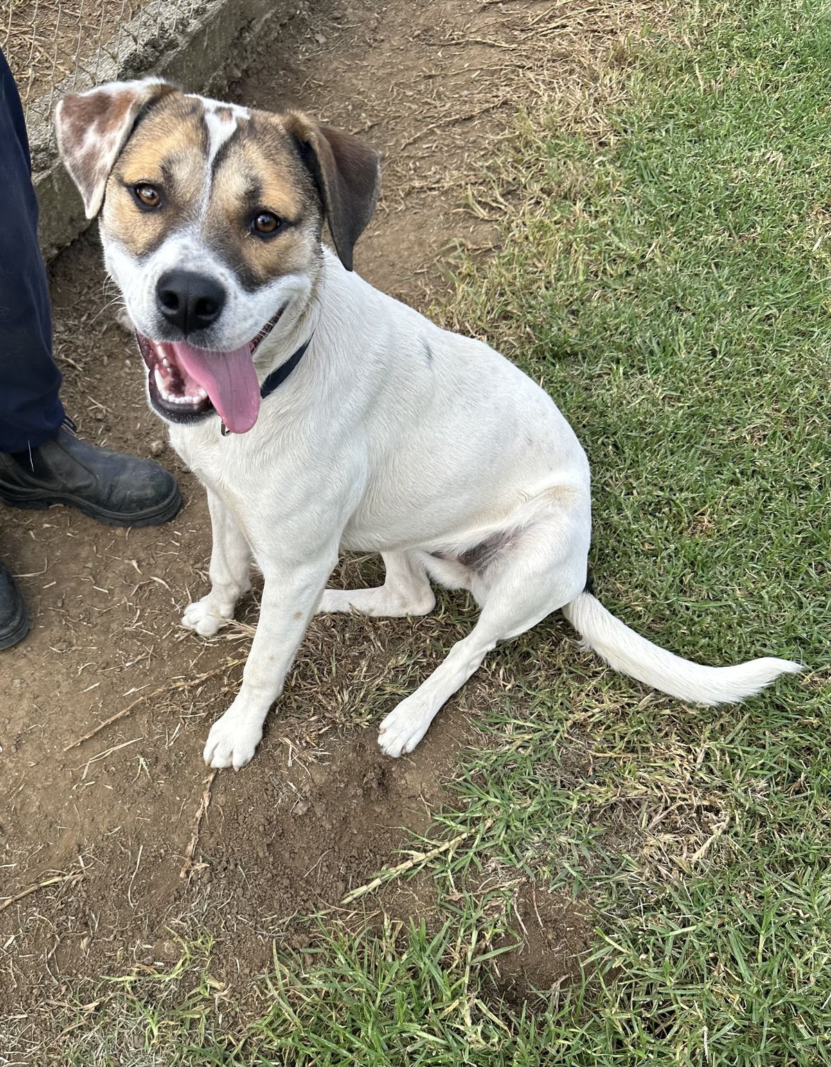 Gallery image: Marley