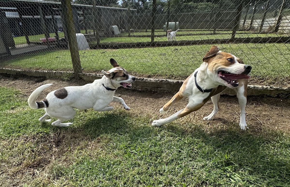 Gallery image: Marley