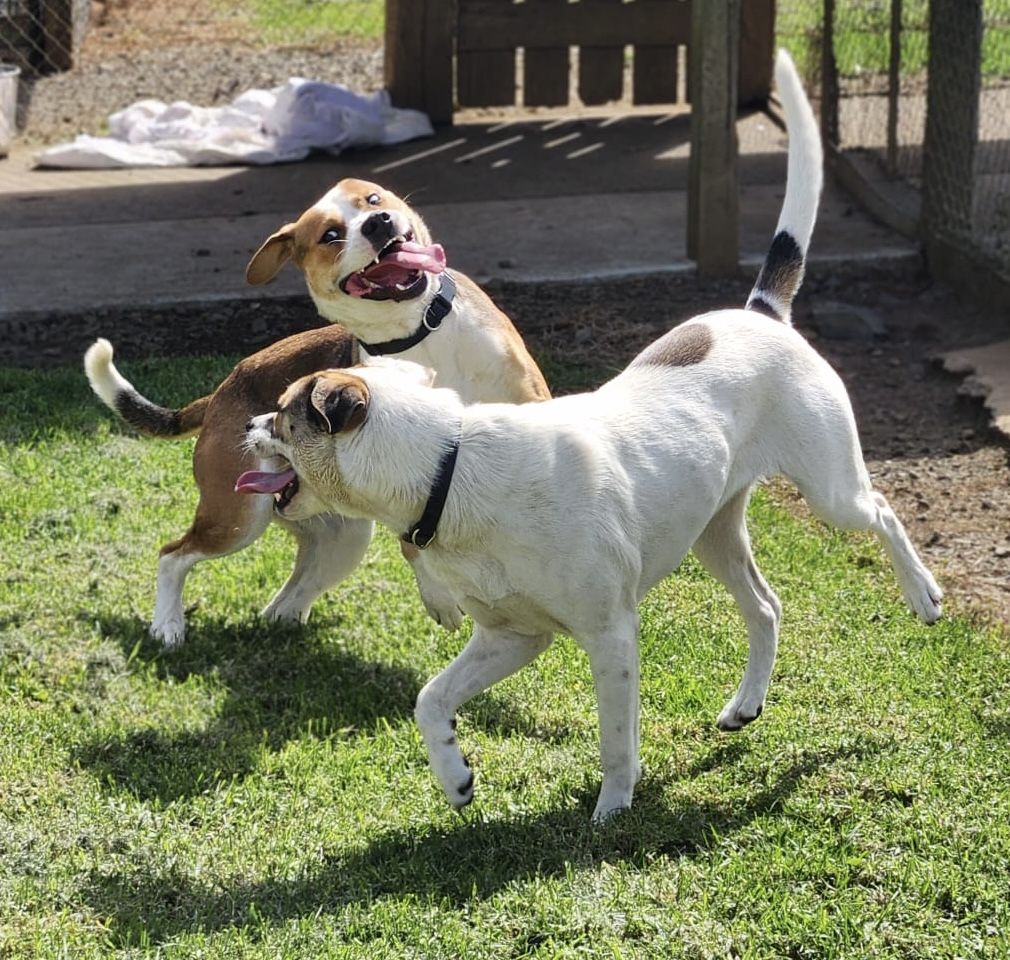 Gallery image: Marley