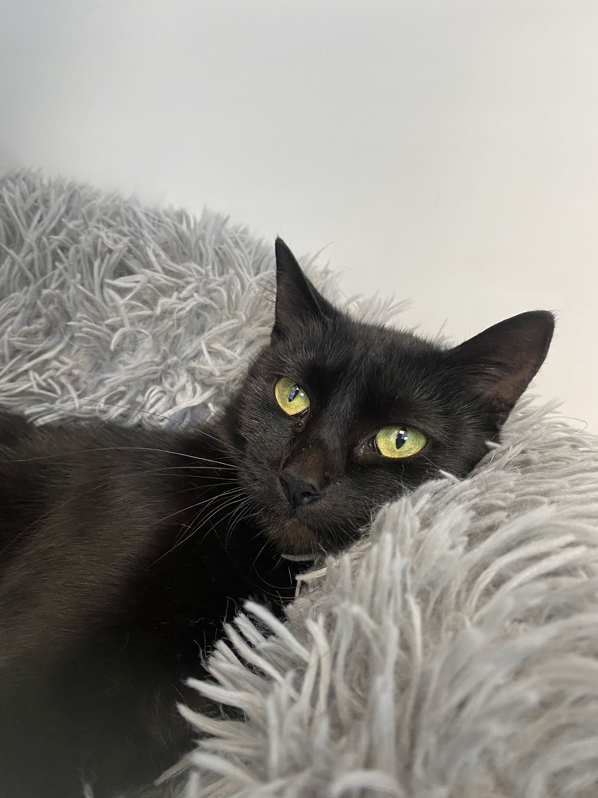 Gallery image: Espresso