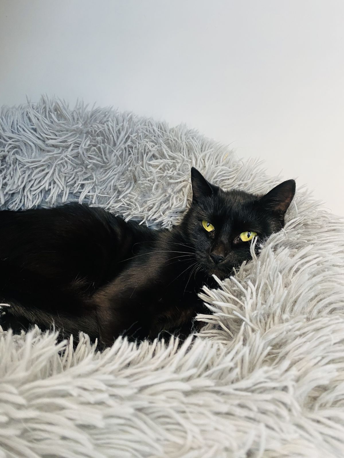 Gallery image: Espresso