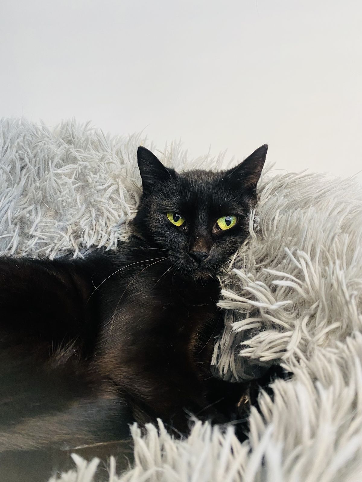 Gallery image: Espresso