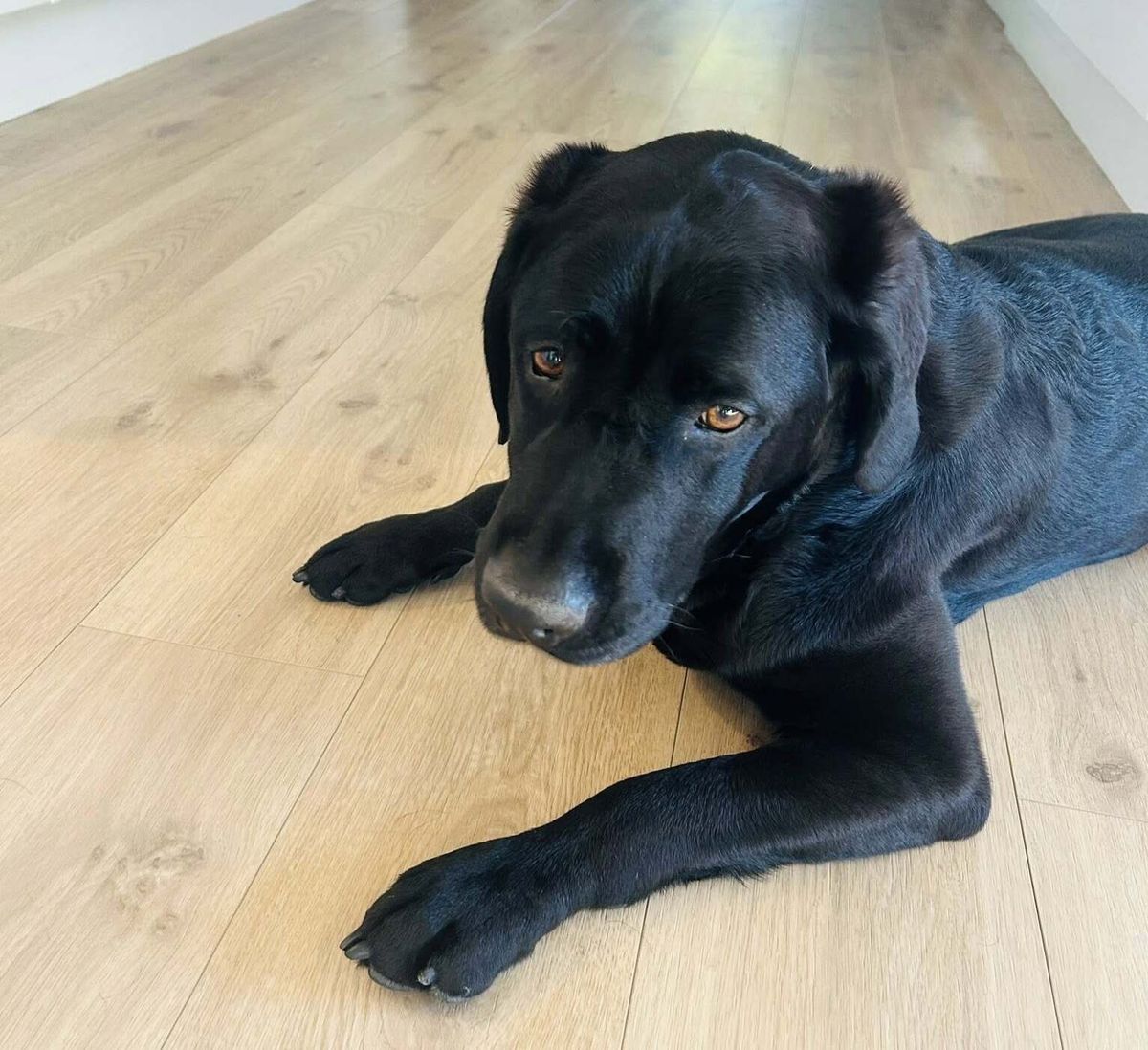 Gallery image: Winnie 