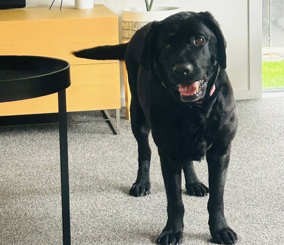 Gallery image: Winnie 