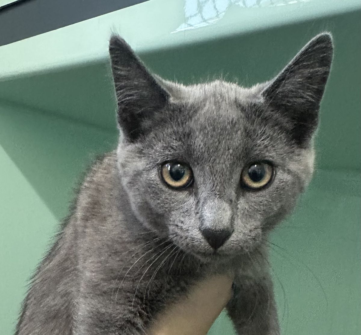 Gallery image: Grommet