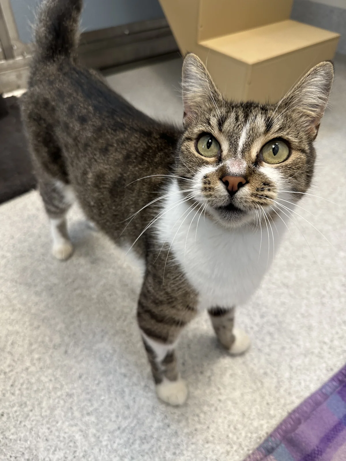 Gallery image: Cappuccino