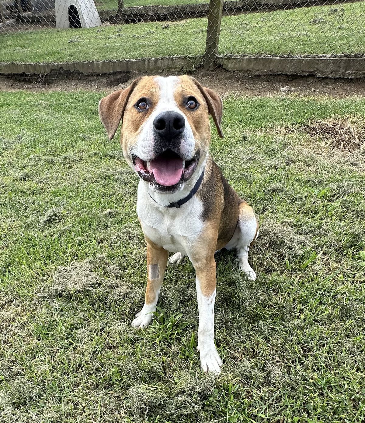 Gallery image: Murphy