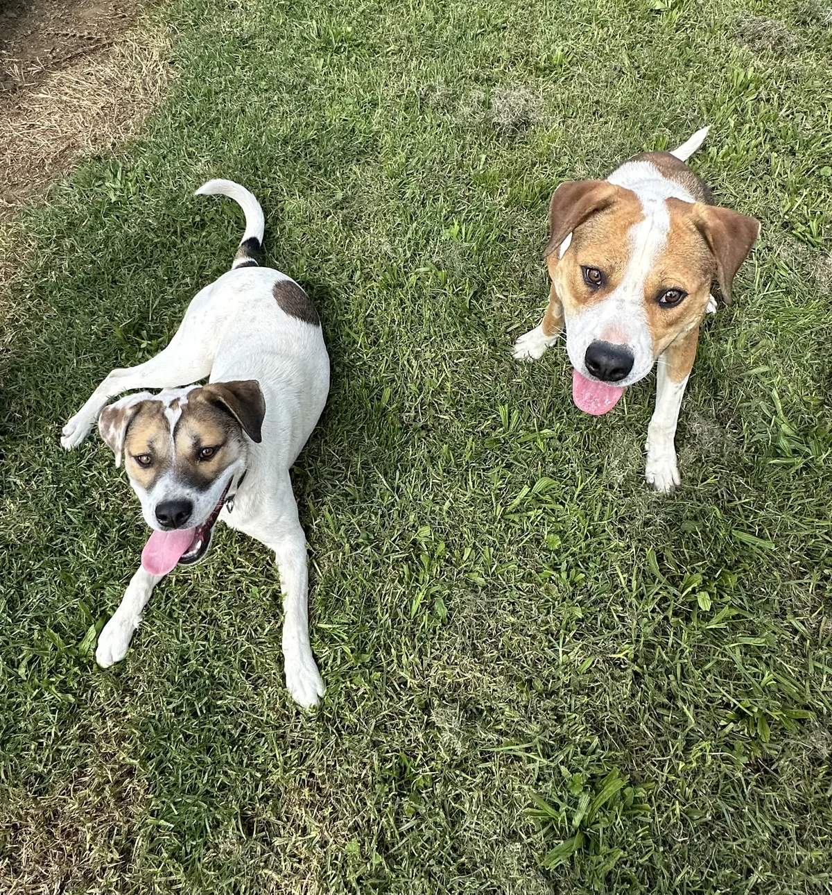 Gallery image: Murphy