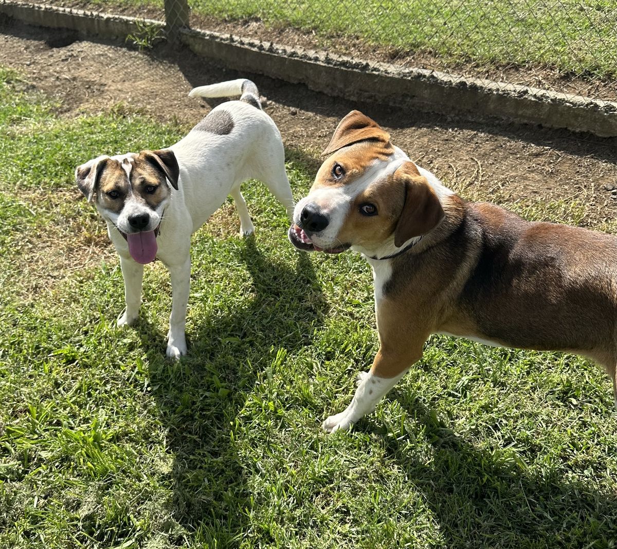 Gallery image: Murphy