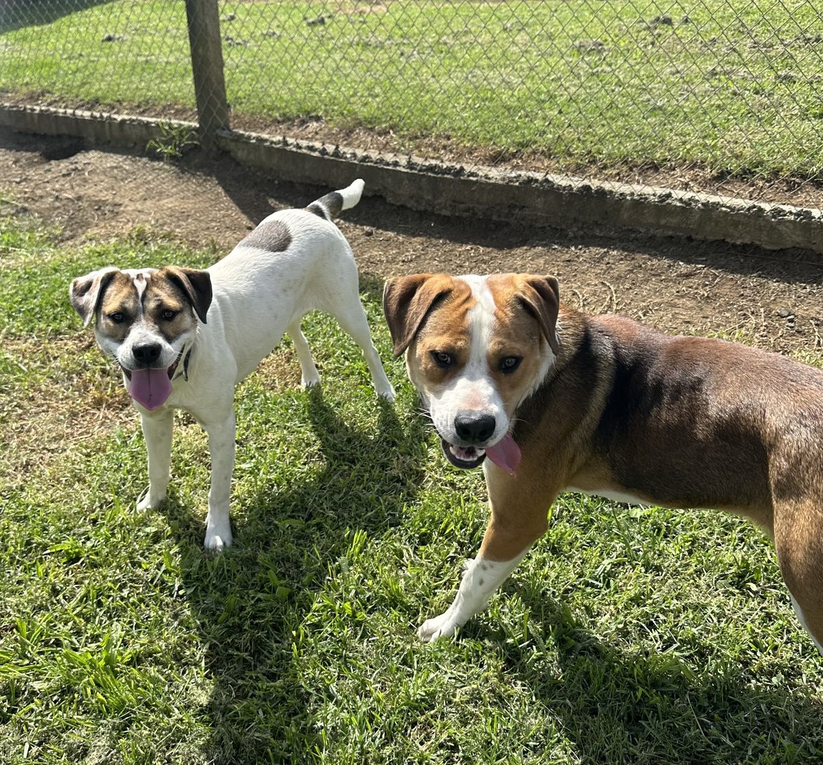 Gallery image: Murphy