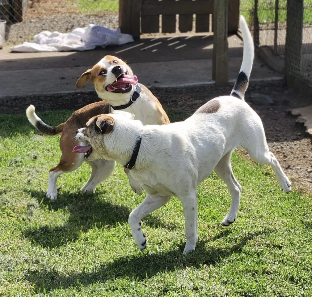 Gallery image: Murphy