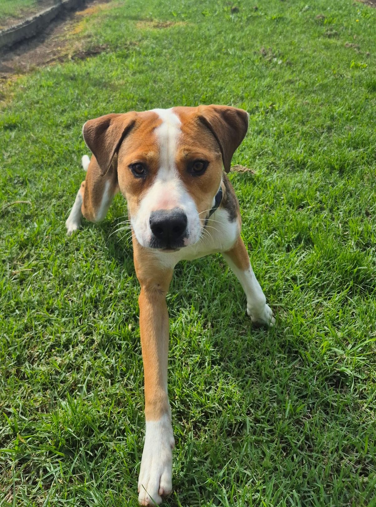 Gallery image: Murphy