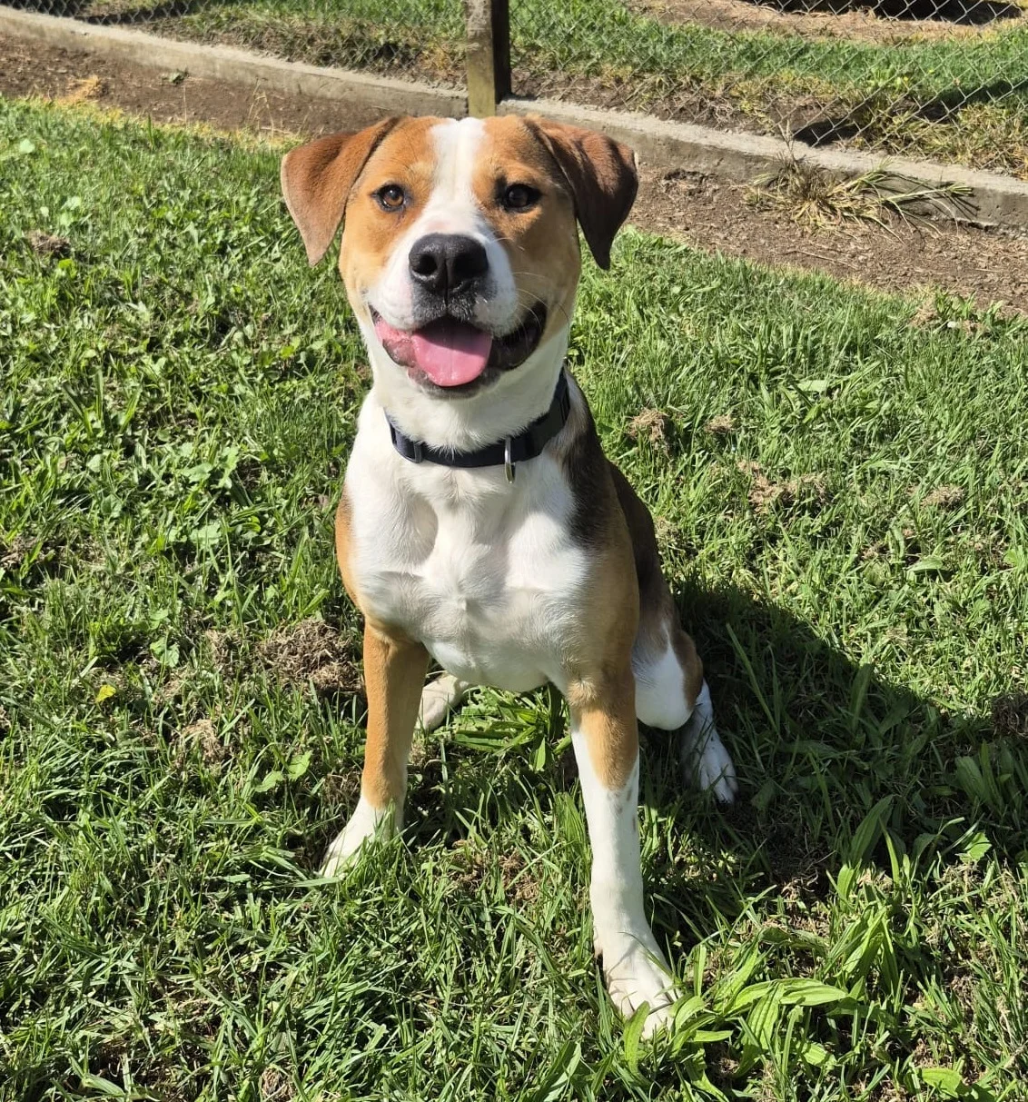 Gallery image: Murphy