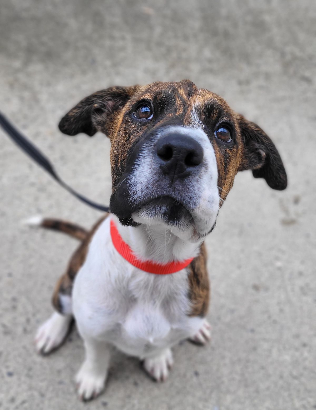 Gallery image: Bingo