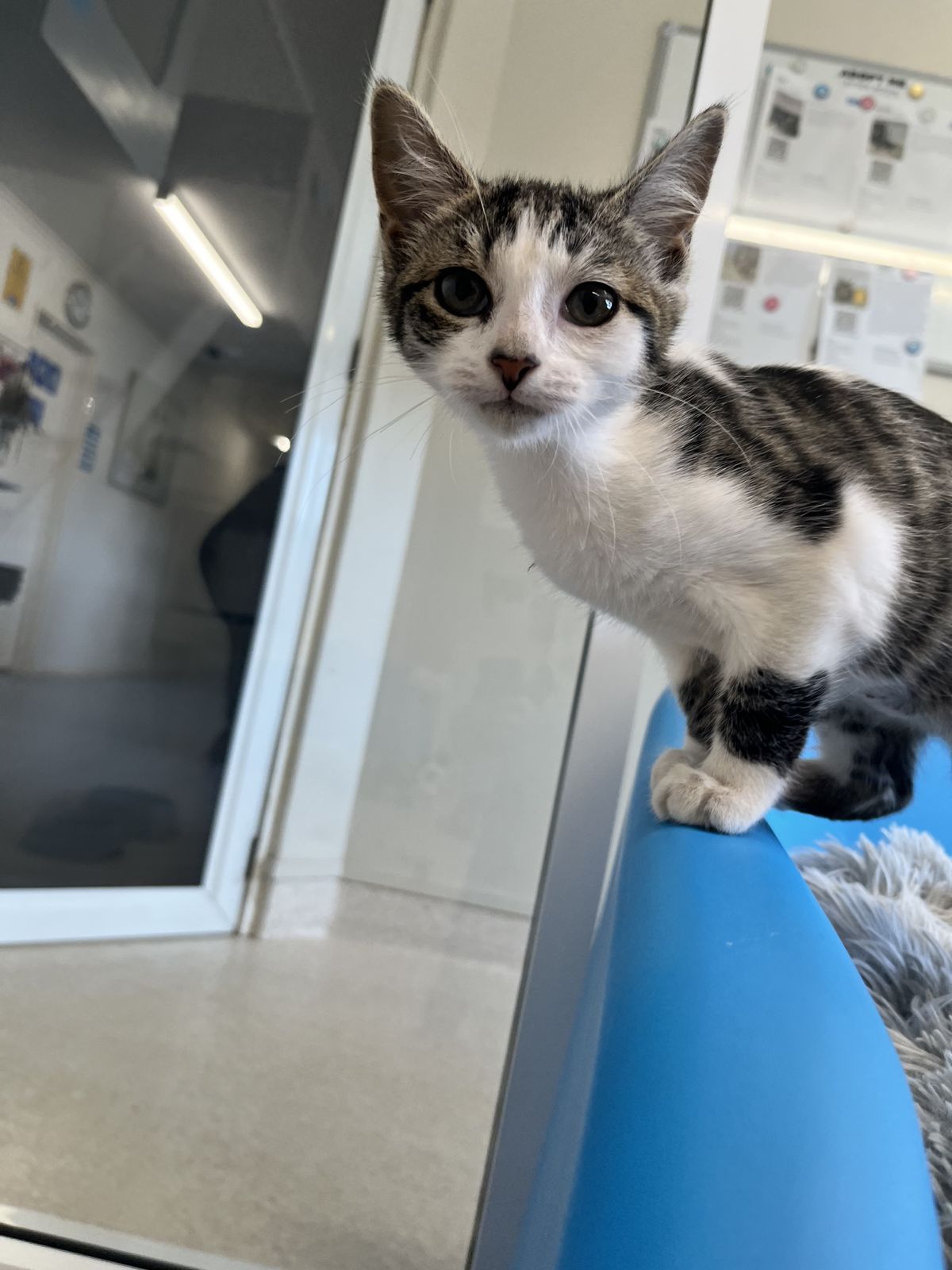 Gallery image: Charlie