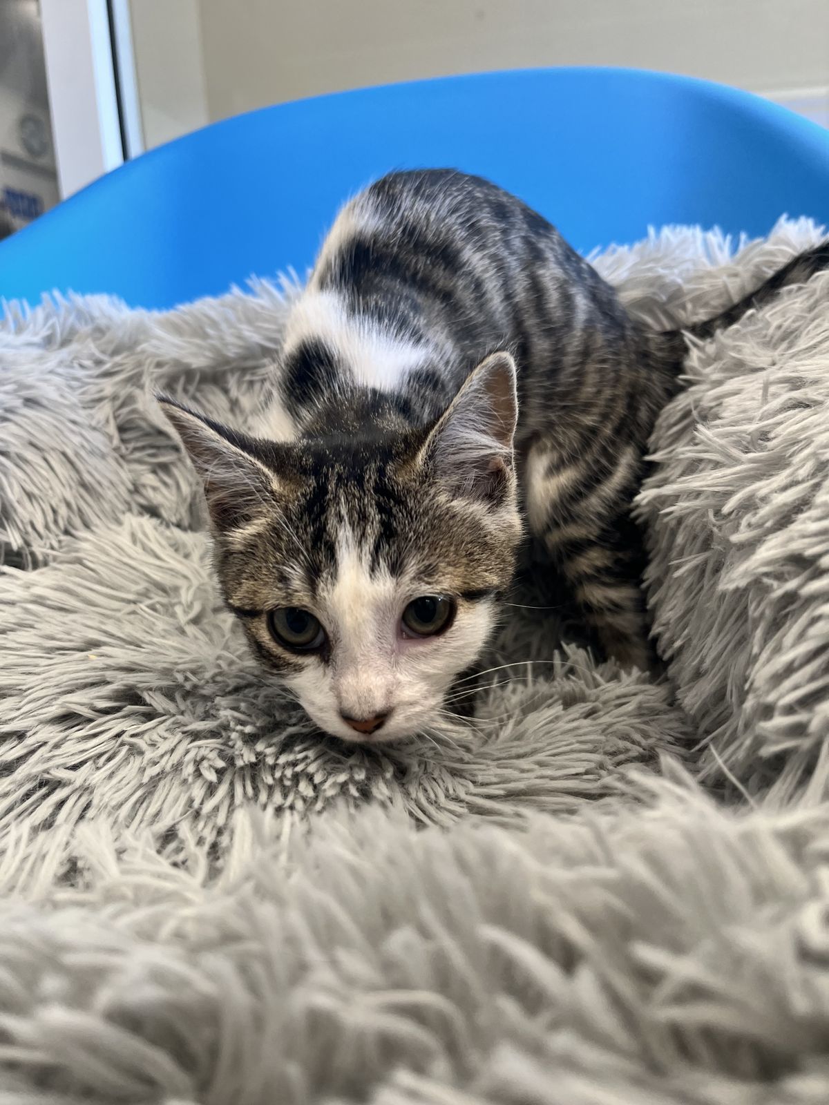 Gallery image: Charlie