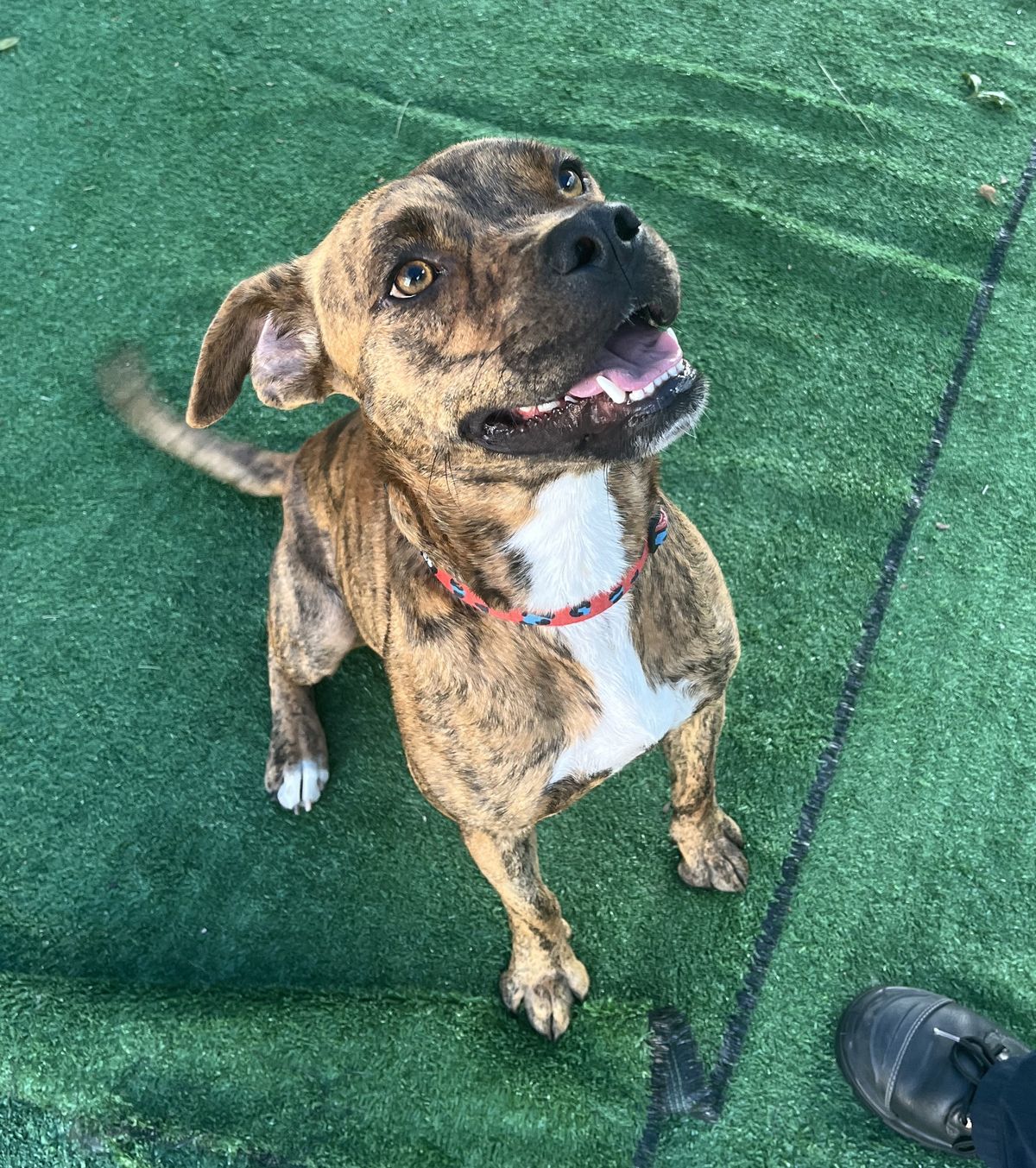 Gallery image: Honey