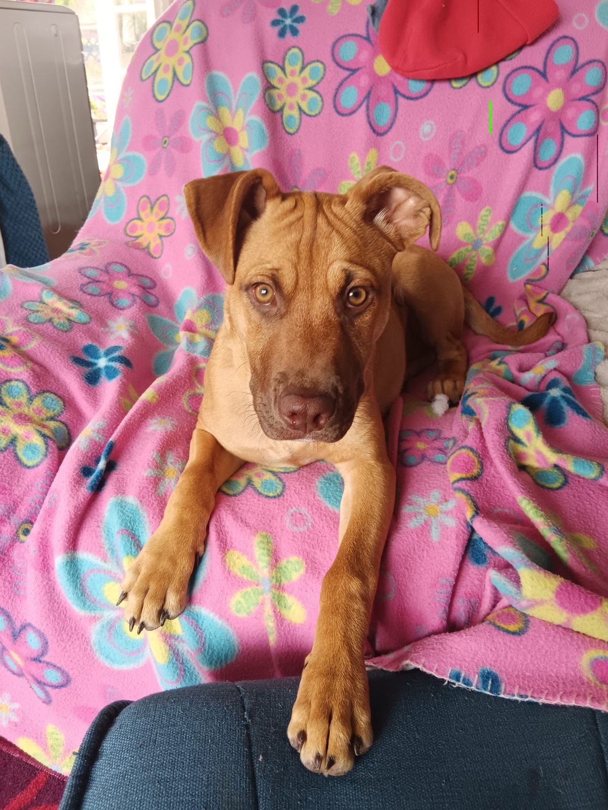 Gallery image: Doris