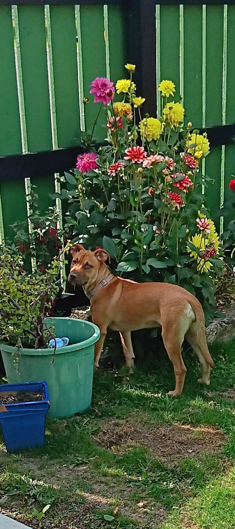 Gallery image: Doris