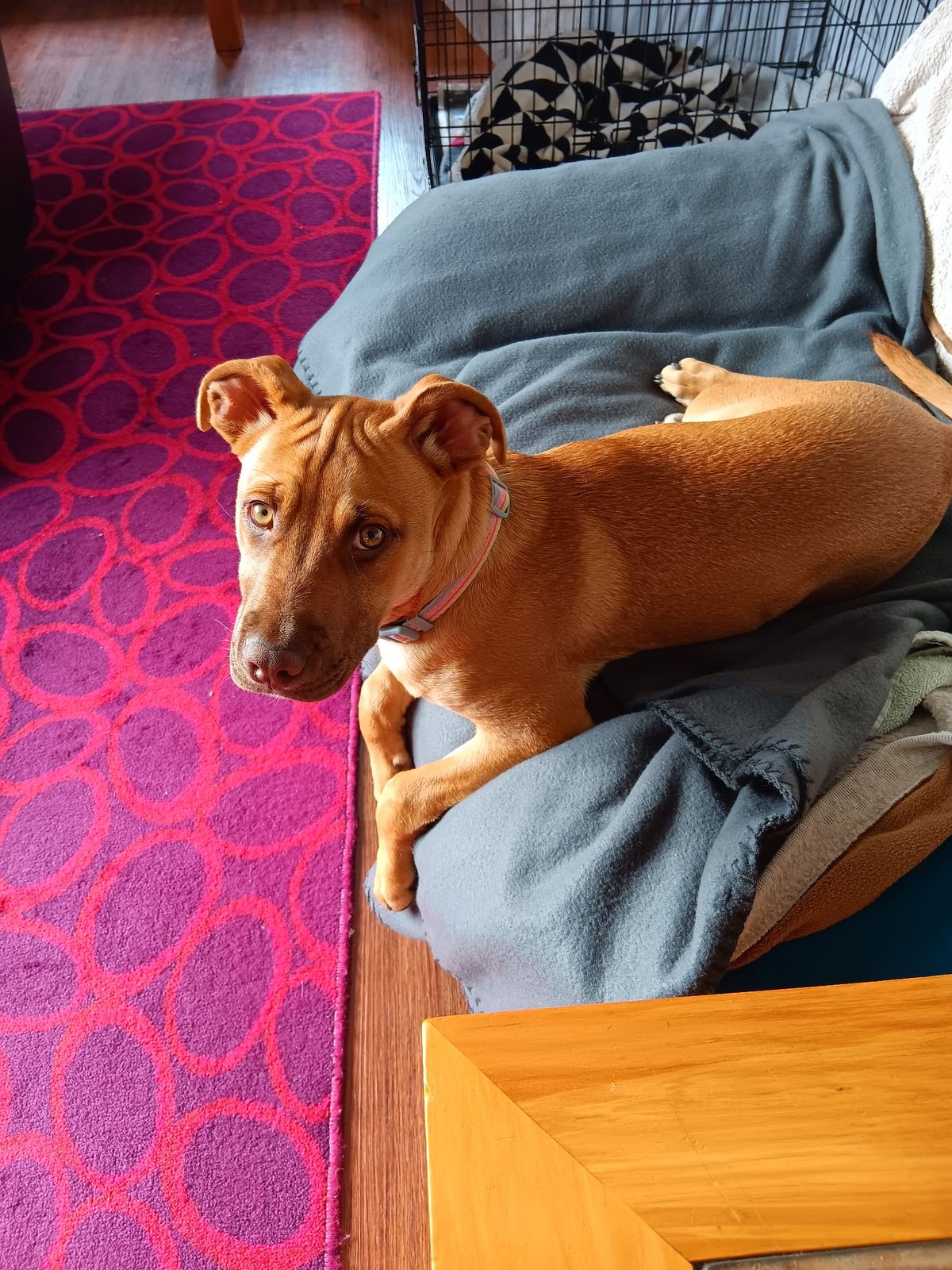 Gallery image: Doris