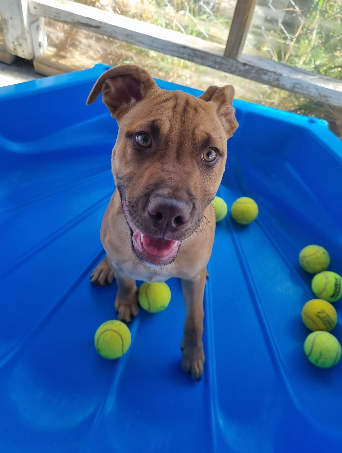 Gallery image: Doris