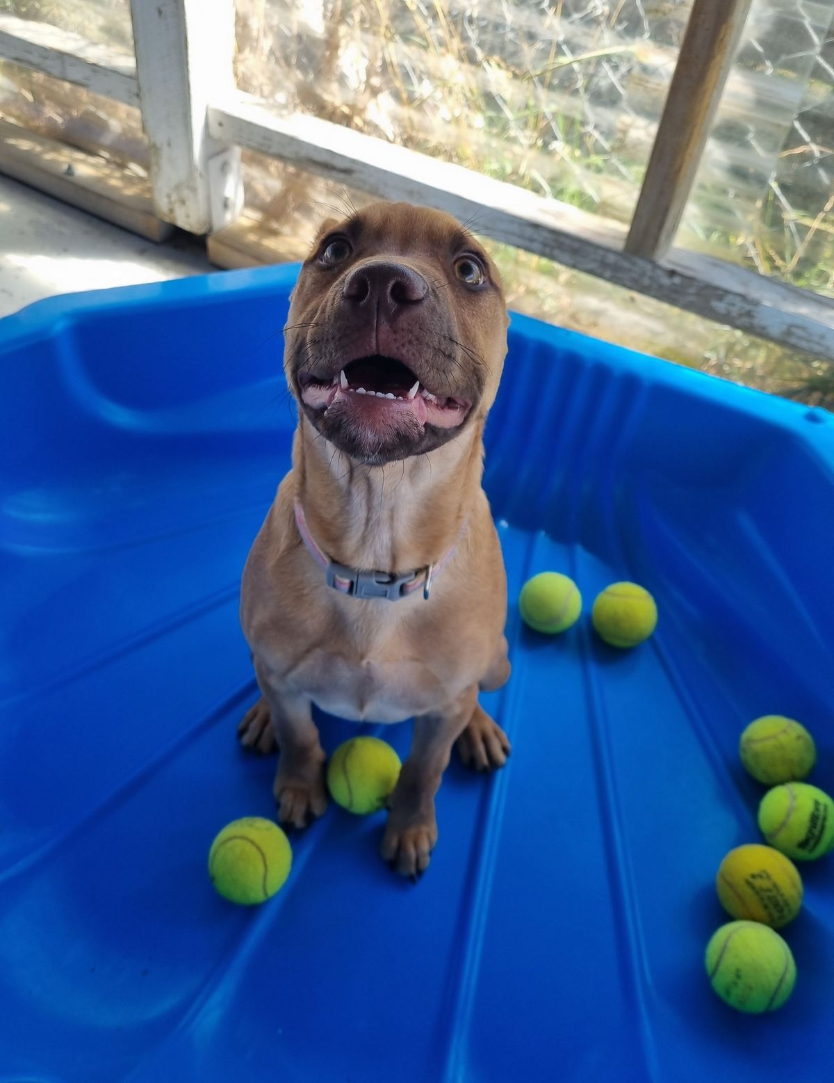 Gallery image: Doris