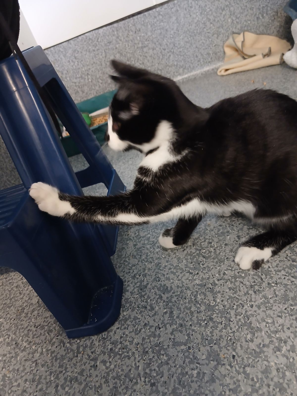 Gallery image: Leonardo