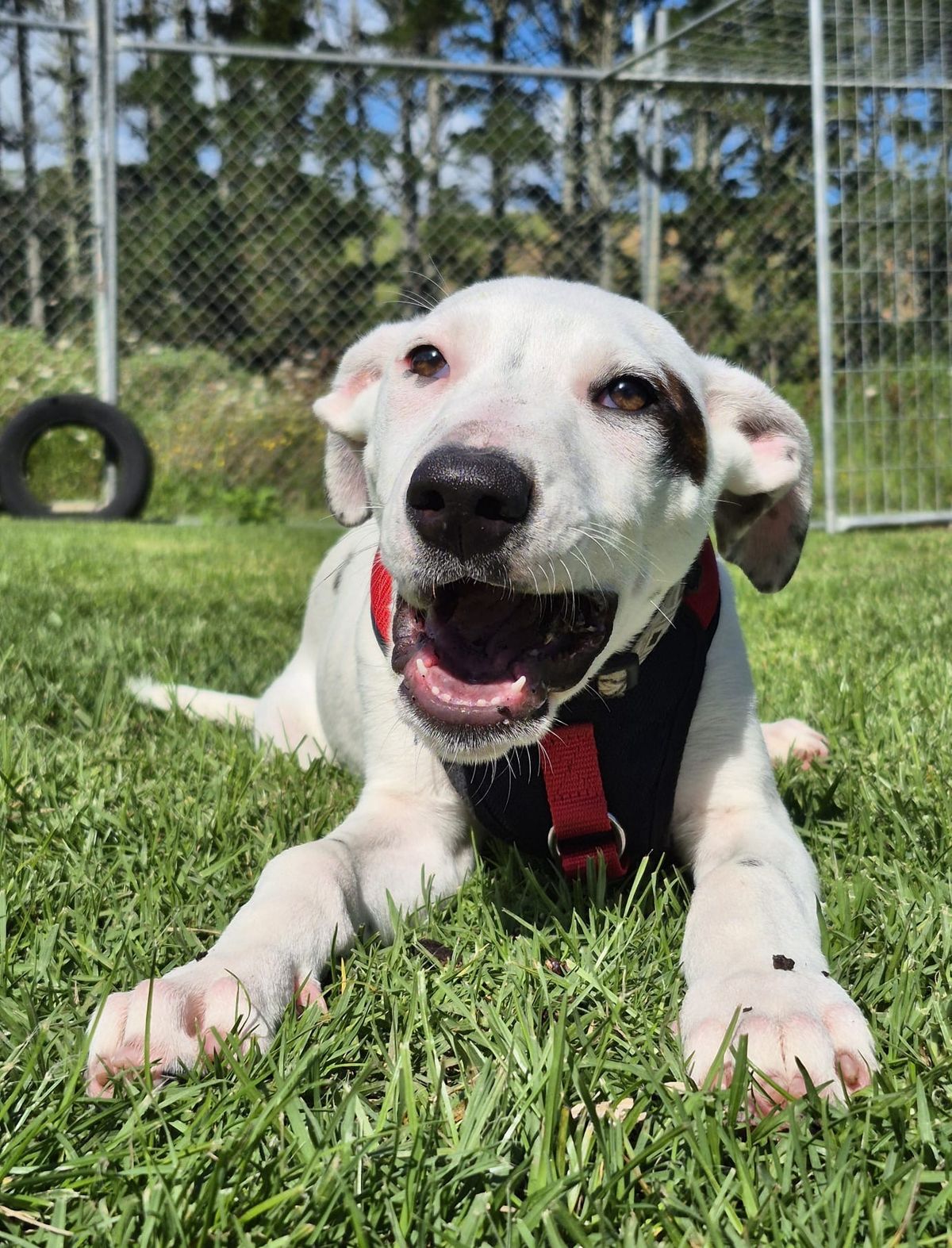 Gallery image: Syrup