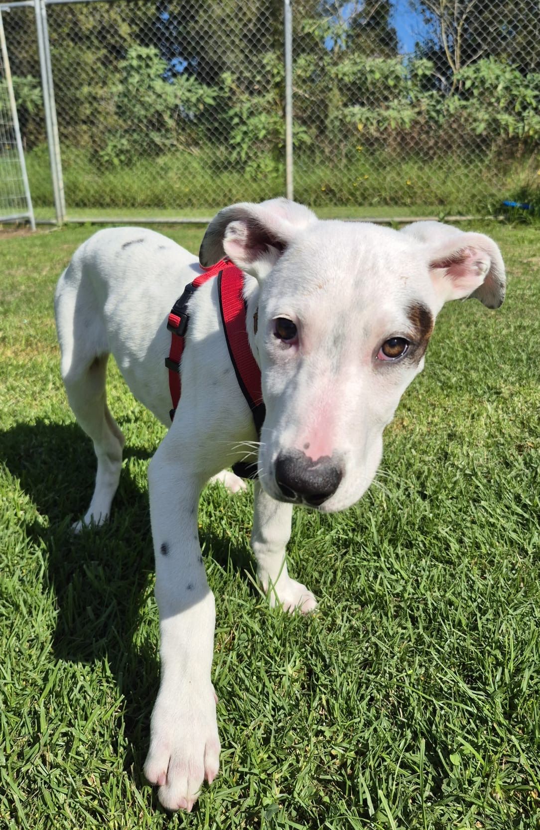 Gallery image: Syrup