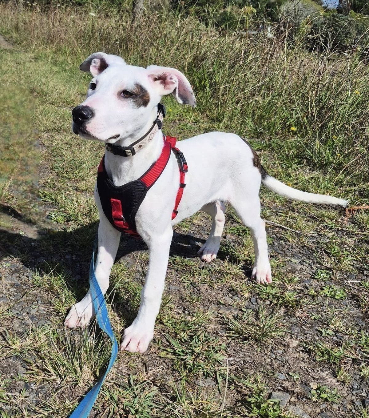 Gallery image: Syrup